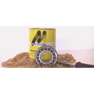 Molyduval Long-Life LM 2 P, 100g